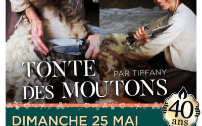 Animations du 25 mai 2025